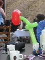 Balloon flower Picture 12