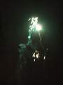 Our fireworks Picture 12