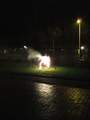 Our fireworks Picture 13
