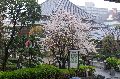 Senso-Ji temple complex Picture 6