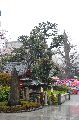Senso-Ji temple complex Picture 8