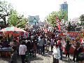 Hanami, Ueno park Picture 16