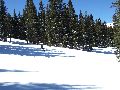 Other place between the trees Picture 22