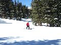 Other place between the trees Picture 23