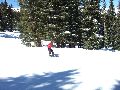Other place between the trees Picture 24