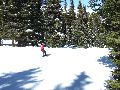 Other place between the trees Picture 25