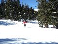 Other place between the trees Picture 26