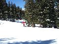 Other place between the trees Picture 27