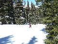 Other place between the trees Picture 29