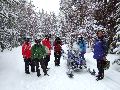 Snowmobiling Picture 43
