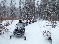 Snowmobiling Picture 44